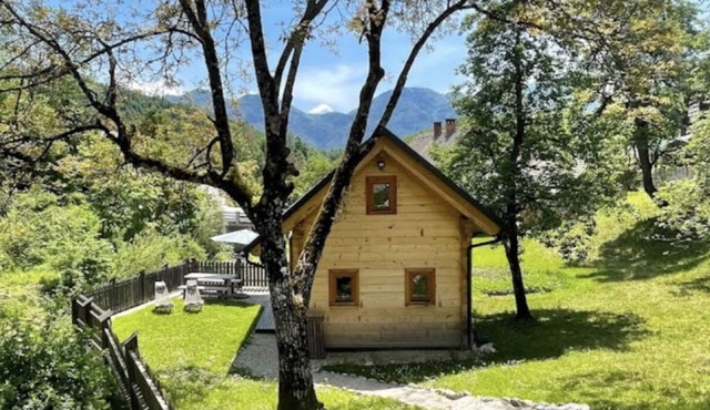 Holiday house Bohinj by the river in Bohinjska bistrica