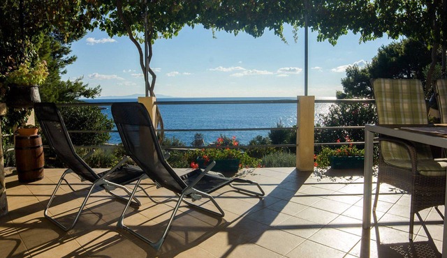 Holiday house Ani - 30 m from beach : - Maslinica, Island Solta, Croatia in Maslinica