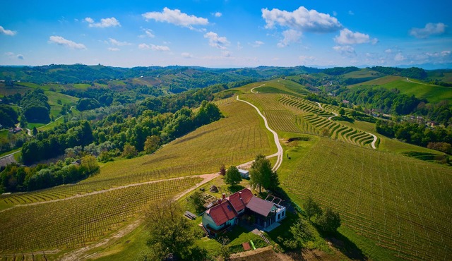 Holiday House Podhamer Boris with private Wellness in Ljutomer