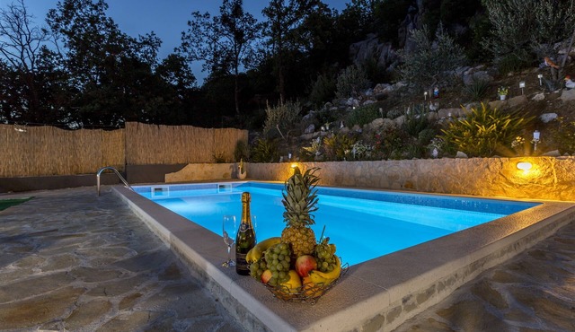 Holiday house with private pool
