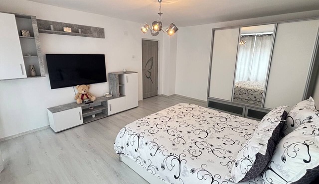 Home Away From Home: Bright Quiet Fully Equipped Self Check-In Central Location in Râmnicu Vâlcea
