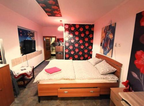 Hostel Pascalis Alesd in Aleşd