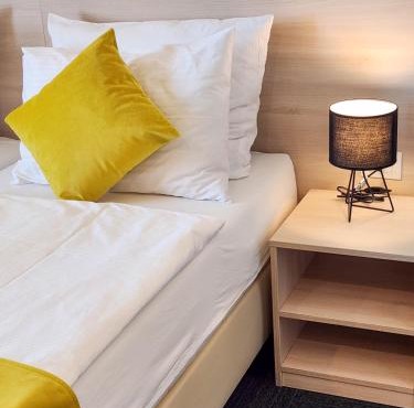Hotel Bor