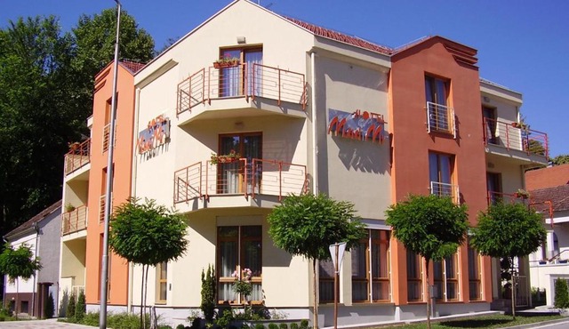 Hotel Mladimir