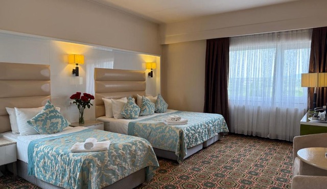 Hotel Romanita in Baia Mare