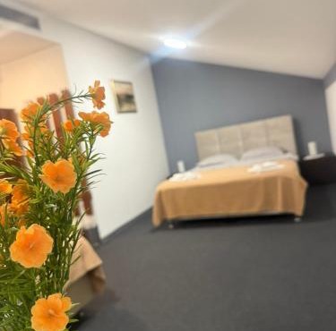 Hotel Višnjica