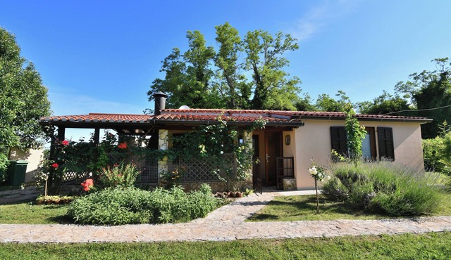 House Ariella (113191-K1) - Umag
