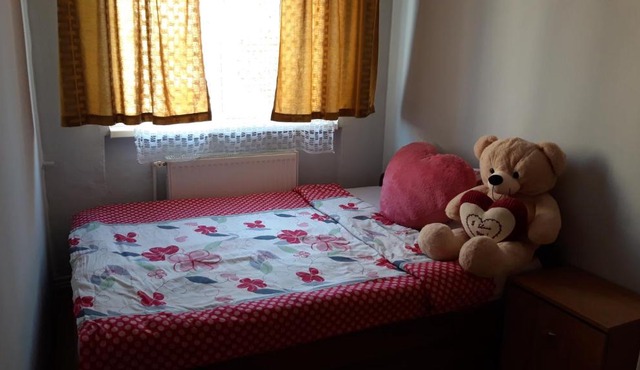House Cosmina in Deva
