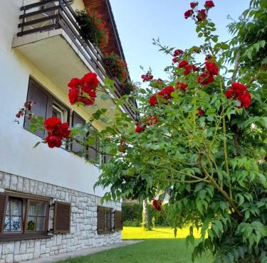 House Draga Plitvice near the lakes and bus stop in Plitvička Jezera