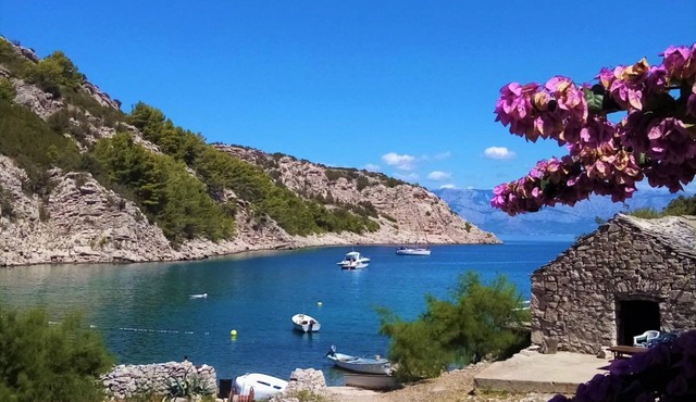 House Peacefull Relax (90961-K1) - Zastrazisce - island Hvar in Zastrazisce - island Hvar