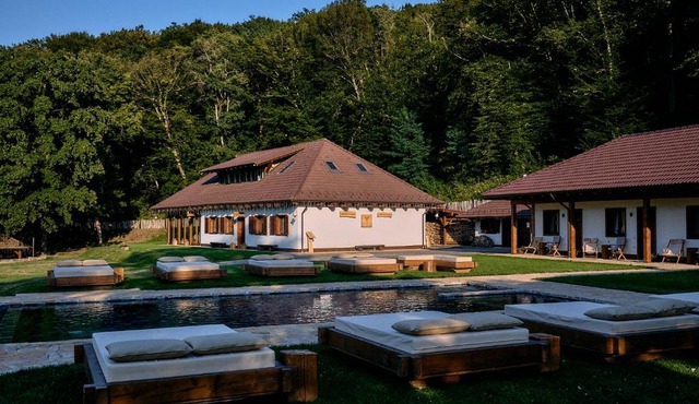 Hunter's Mansion - Transylvania in Cenade