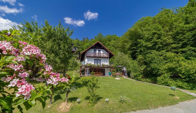 Ideal oasis for a vacation surrounded with forest