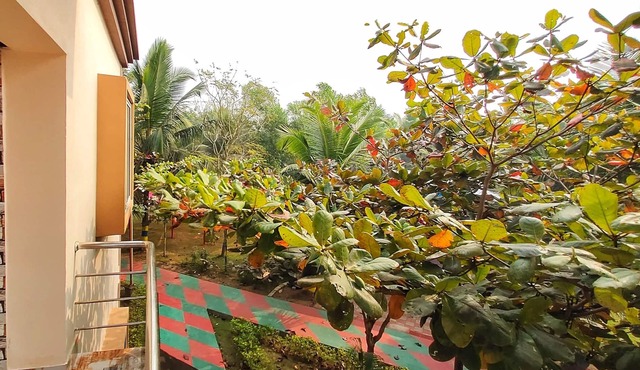 Janardan Kings Coco Palms Resort Konark in Konark