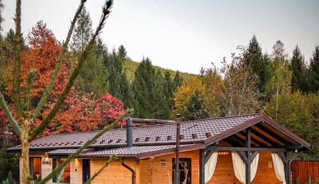 Kenzo Chalet in Porumbacu de Jos