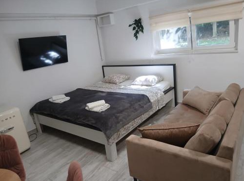 King-Size Bed Studio