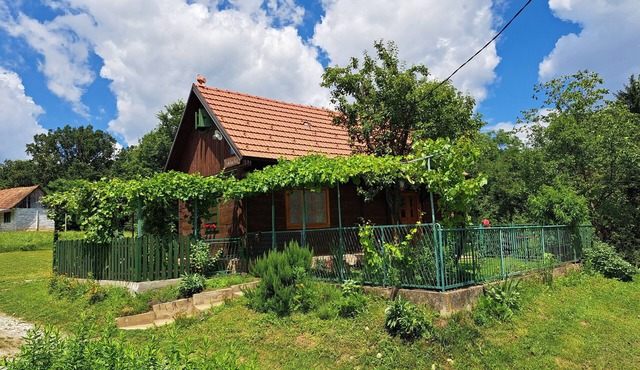 Kokotova Hiža - One Bedroom Holiday Home with Terrace