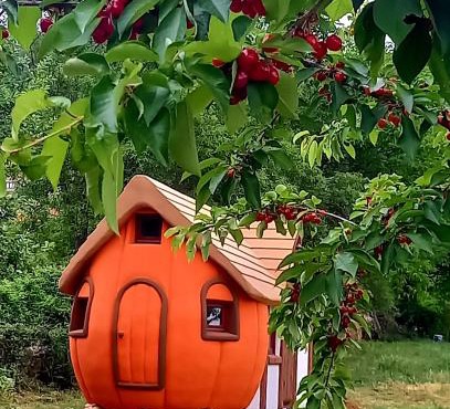 Krka Magic Pumpkin