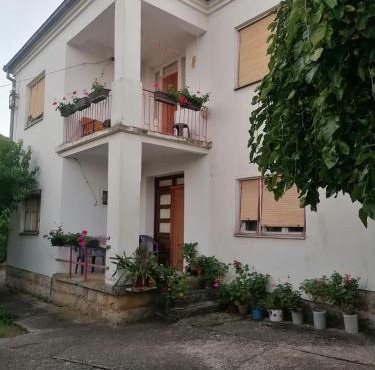 Kuca za odmor Marina Jelenkovic