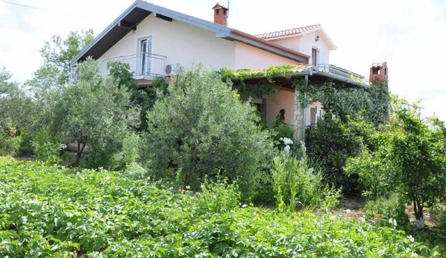 Large Rental House. Adriatic Seaside