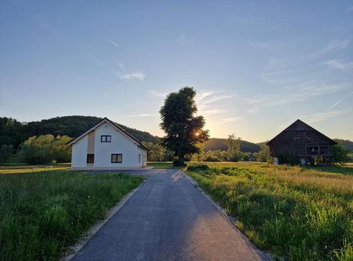 Linden Retreat Apartments with Sauna in Spodnje Mestinje
