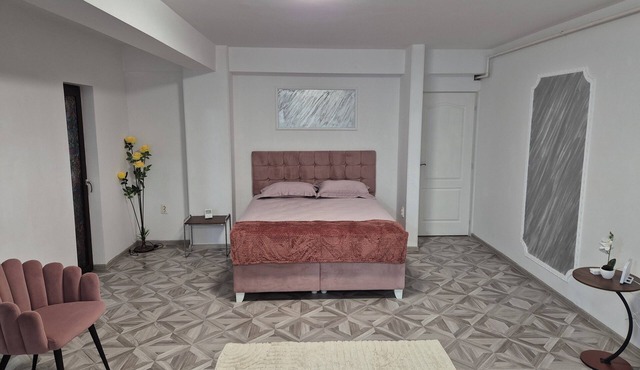 Lovely 1-bedroom apartment with AC in charming Târgu Jiu Elegant Central Studio in Târgu Jiu