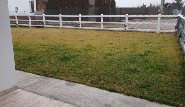 Lovely and Cozy House Apartment with a nice yard in Albestii de Arges