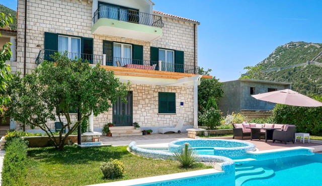 Lovely apartment for 5 people with WIFI, pool, A/C, TV, terrace and pets allowed in Mali Ston