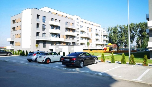Ludi House Apartment in Târgu Mureș