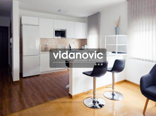 Lux Studio Apartment Vidanovic in Pirot