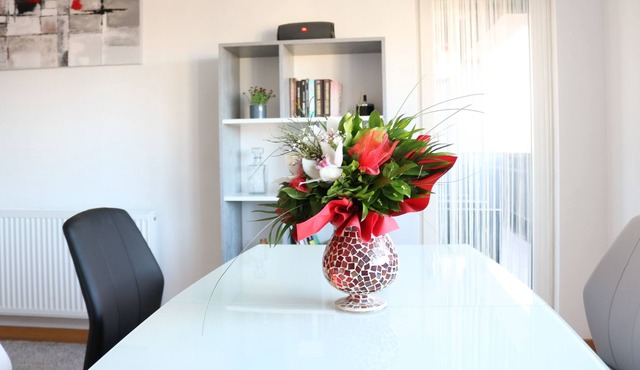 Luxury apartment in the center of Varazdin perfect for families or groups.