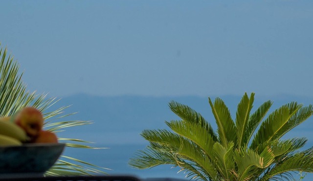 Luxury Apt In Villa Citrin Shared Pool Sea View in Makarska