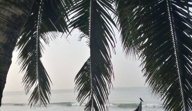 Luxury beach house with beach and sea views from all rooms and the terrace. in KL
