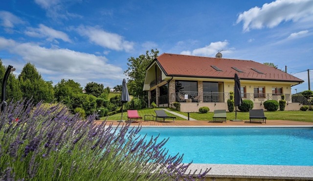 Luxury forest villa near Varaždin with pool, sauna, playground and privacy.