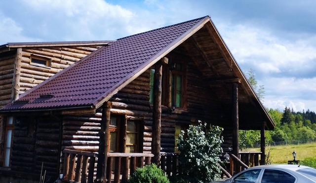Marvelous chalet with WiFi in Dealu Negru in Dealu Negru