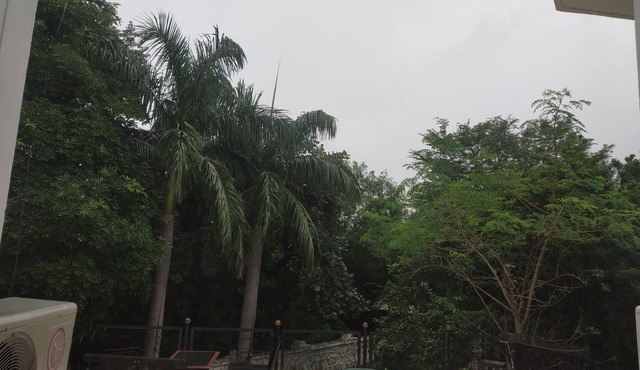 MB Home Residency, Shyamala Hills Bhopal in Shymala Hills