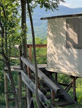 Mesteceni Glamping in Breaza de Jos