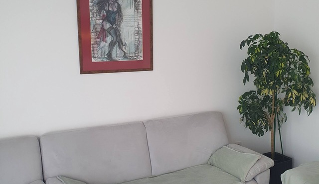 Modern apartament,to stay in and relax watching Carpathian montains. in Șelimbăr