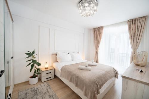 Modern Apartment with Free Private Parking in Timisoara in Timisoara