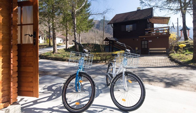 Modern family&pet friendly villa with private sauna and beach in Bosljiva Loka