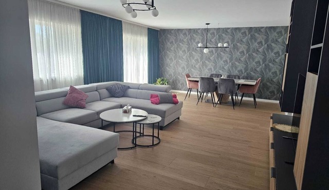 Modern Vila, Relax House, Office, Parking & WiFi in charming Timișoara in Timișoara