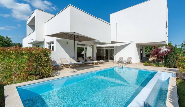 Modern Villa Kate in Zminj