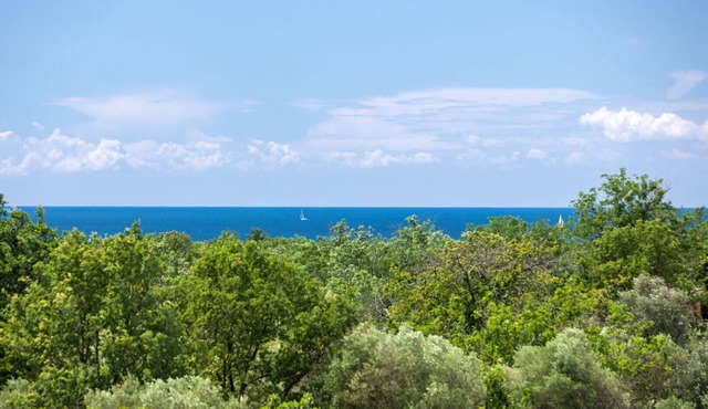 Modern villa Lucia with outdoor pool in Umag
