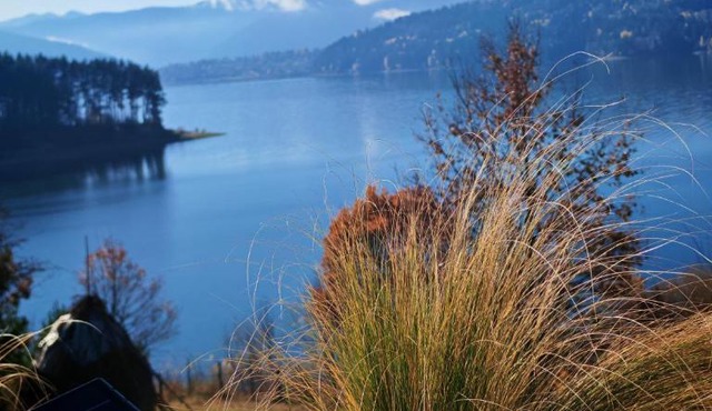 Moon Lake Bicaz - Aurora Garden in Hangu