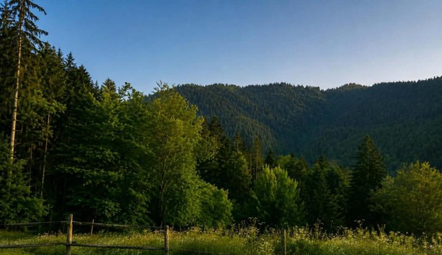 Mornov raj in Vuzenica