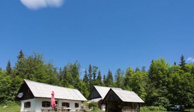 Mountain house MINKA in Srednja Vas v Bohinju
