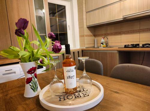 Mountain View Apartment in Petrosani