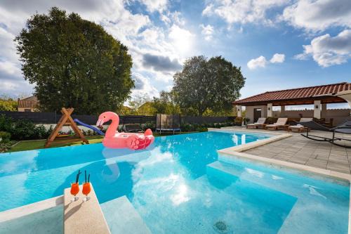 My Dalmatia - Apartment M&N with shared pool