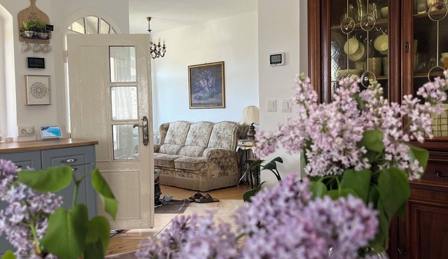 Mystic Twistic – A Hidden Countryside Gem Surrounded by Hills & Orchards in Vidra