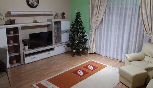 neumarkt apartment Targu Mures in Tirgu Mures