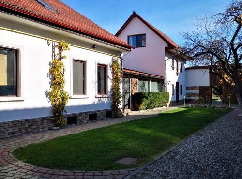 NEUSTADT Villa in Vladeni